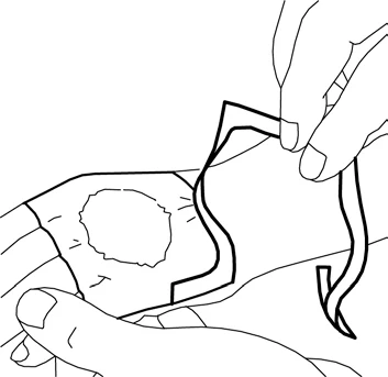 Illustration showing hands applying a patch to the skin, one hand holding the patch and the other holding a part of the body with a visible application site