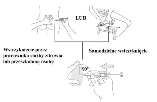 Schema che illustra tre modi di somministrare il farmaco: da parte di un operatore sanitario, da una persona formata o autoiniezione con angolo di 90 gradi