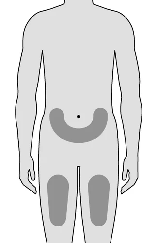 Schematic silhouette of a human body with gray areas marked on the lower abdomen and both thighs