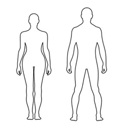 Silhouette femminile e maschile mostrate di fronte, che rappresentano l'intero corpo in posizione eretta su sfondo bianco