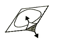 Disegno schematico che mostra due frecce che partono da un punto centrale, indicanti direzioni di movimento all'interno di una forma