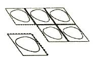 Disegno schematico che raffigura sei piastre rettangolari disposte in due gruppi, su cui sono visibili forme ovali simili a cellule