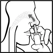 Disegno del profilo del viso che mostra una mano che inserisce un atomizzatore nel naso, con indicazione della direzione della nebulizzazione del farmaco all'interno del naso