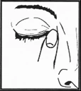 Dibujo en blanco y negro que muestra un primer plano del ojo humano con el párpado cerrado, ceja y fragmentos de la nariz y la mejilla