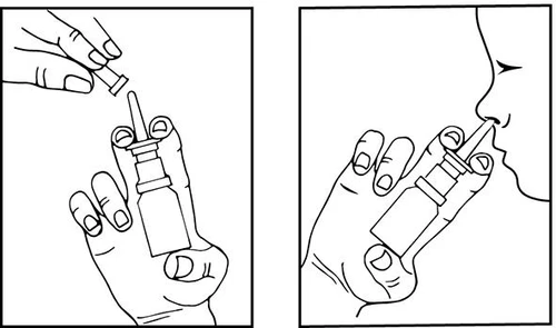 Illustration showing two phases: a hand removing the cap from a dropper bottle and a hand holding the bottle near a person's nose for inhalation