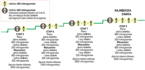 Схема дозирования лекарственного препарата, отображающая этапы с 5 по 8 с разделением на приём утром и вечером и указанием количества таблеток по 200 и 800 микрограммов