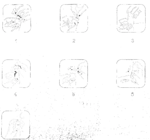 Sette disegni schematici che illustrano le fasi successive della somministrazione di un farmaco o della manipolazione di un dispositivo medico, disposti su tre righe
