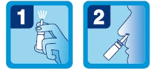 Two-step instruction: 1 hand presses the atomizer releasing the mist, 2 the device's tip is positioned at the nostril opening of the facial profile