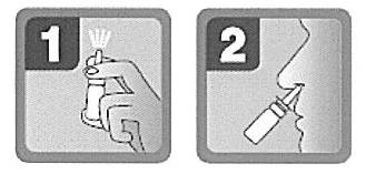 Two-step instruction diagram: hand holding a spray atomizer and a close-up profile view of a face with the device applied to the inside of the nose