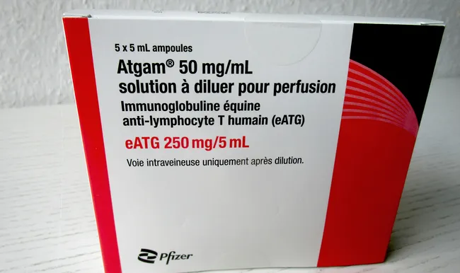 Atgam solution for infusion, concentrate