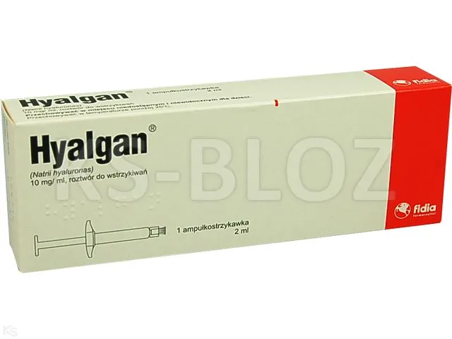 Hyalgan soluzione per iniezione
