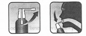Two icons: the first — pressing the spray dispenser with an upward arrow, the second — inhaling the spray through the mouth with a downward arrow