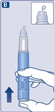 Hand holding a blue pen injector, pointer indicating upward direction, with a detail of cap and needle shown in the upper right corner