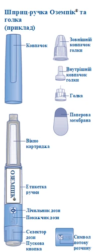 Ozempic pen injector with components: cap, outer and inner needle caps, needle, paper membrane, cartridge window, pen label, dose counter, activation button, dose selector, and solution flow symbol