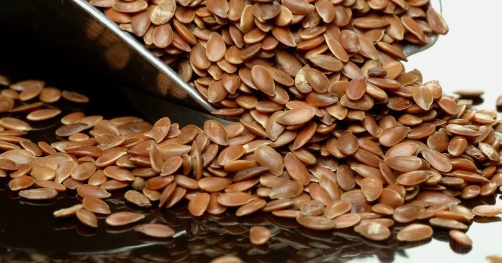 Linseed seeds