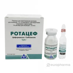 Rotacef powder for injection solution