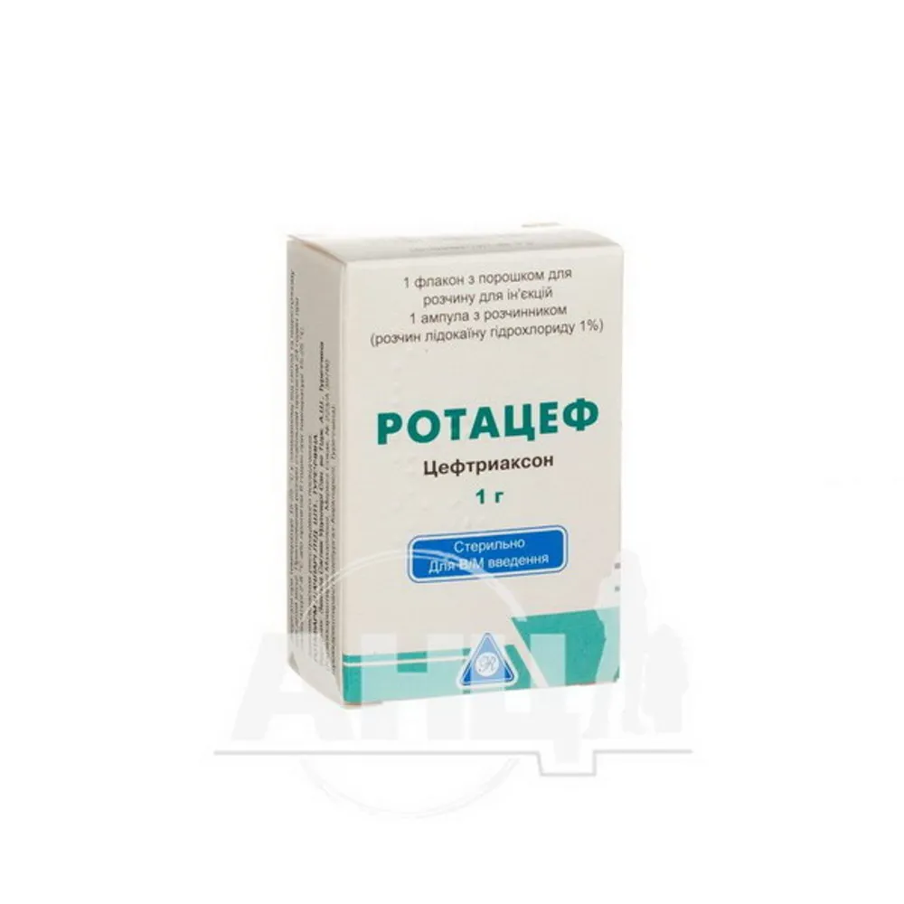 Rotacef polvo para solución para inyección
