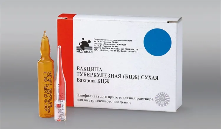 Вакцина для профилактики туберкулеза живая, сухая бцж 10 порошок и растворитель для приготовления суспензии для подкожных инъекций